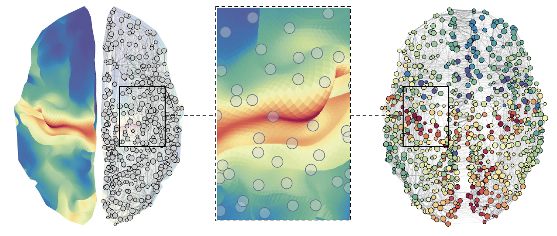 Research images of human brain connectomes